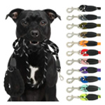 Reichstadt Pets Nylonleine Reichstadt Pets Nylonleine